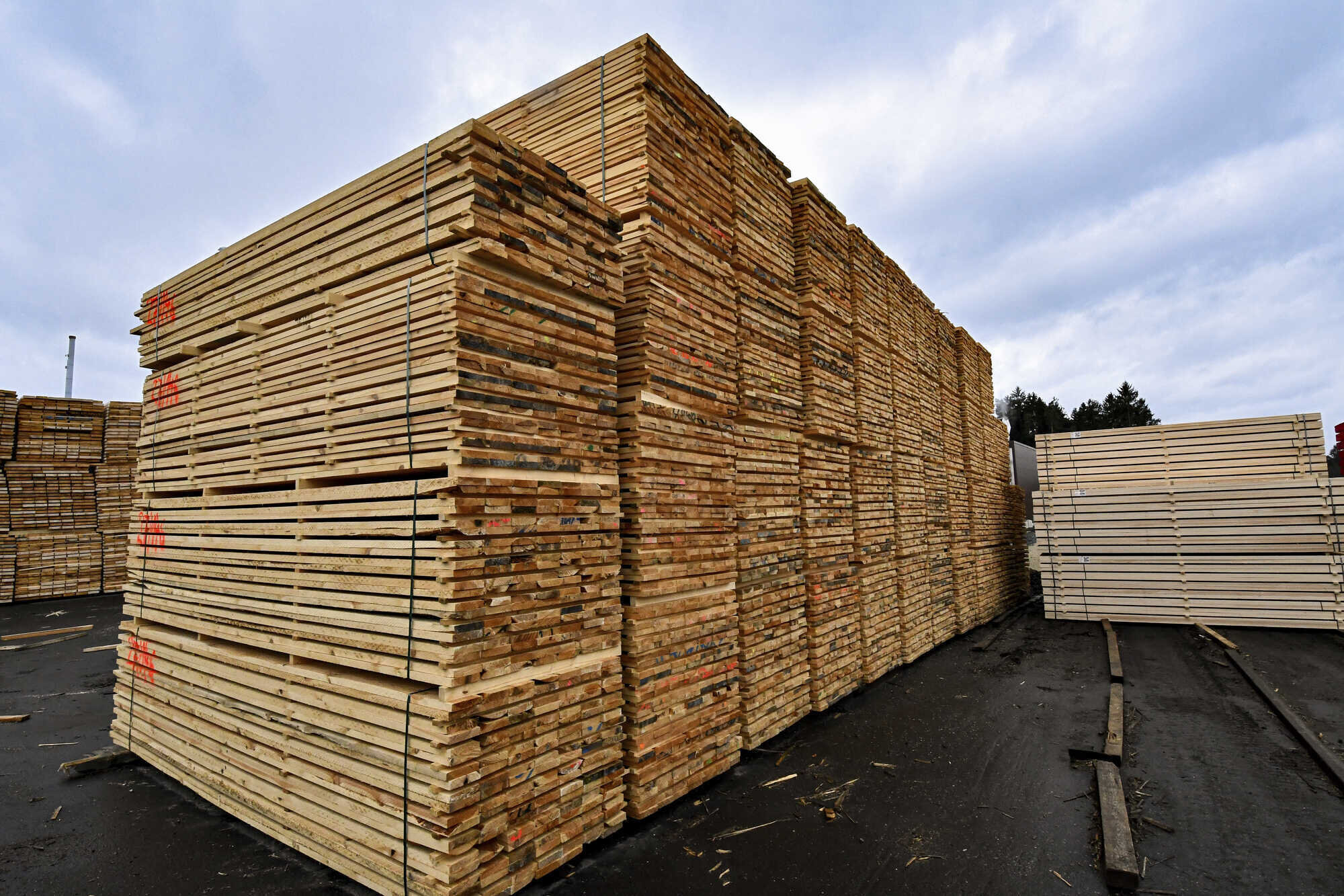 2026: Europe’s timber sector moves from contraction to cautious recovery