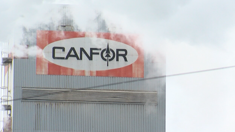 Canfor books $321m impairment as European log costs surge and pulp prices weaken