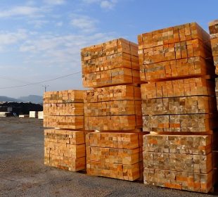 France’s forest cooperatives grow larger and more integrated as the sector consolidates