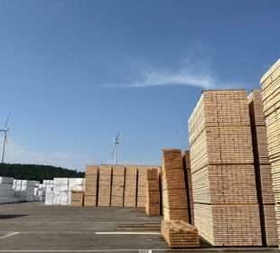 Germany: softwood lumber exports fall on weaker Europe, US market becomes even more dominant in 2025