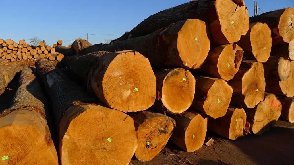 Limited buying interest keeps European hardwood prices in check