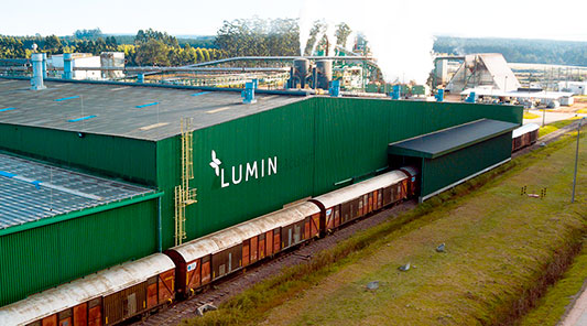 New Lumin plywood mill in Uruguay nearing startup