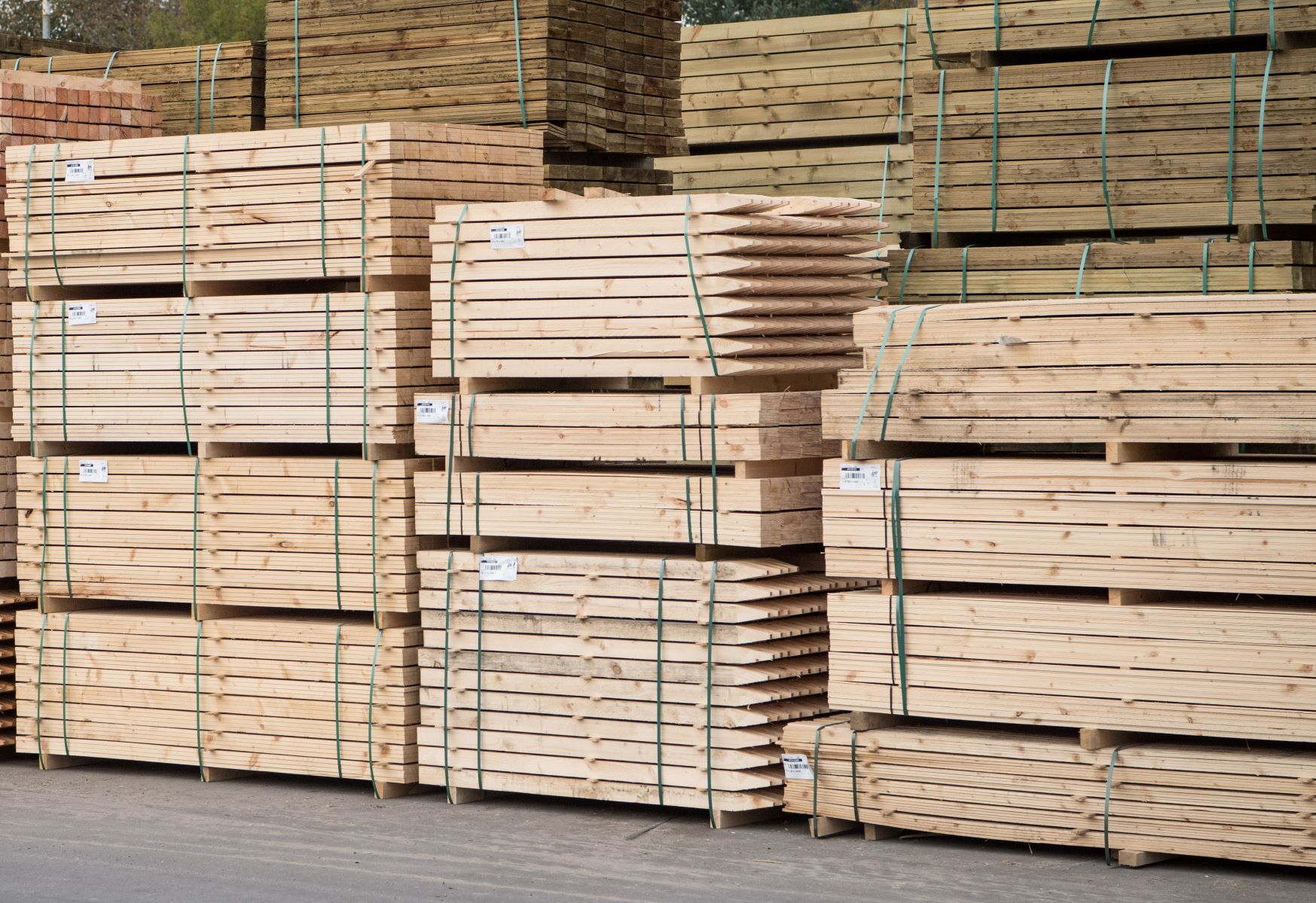 UK urged to treat imported timber as national security issue