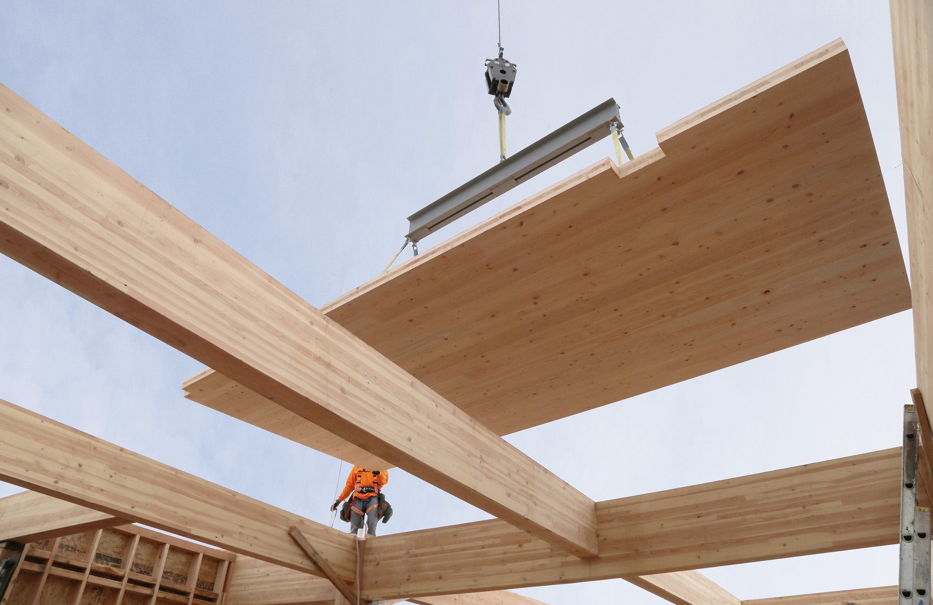 Big Tech and data centres reshape US mass timber market