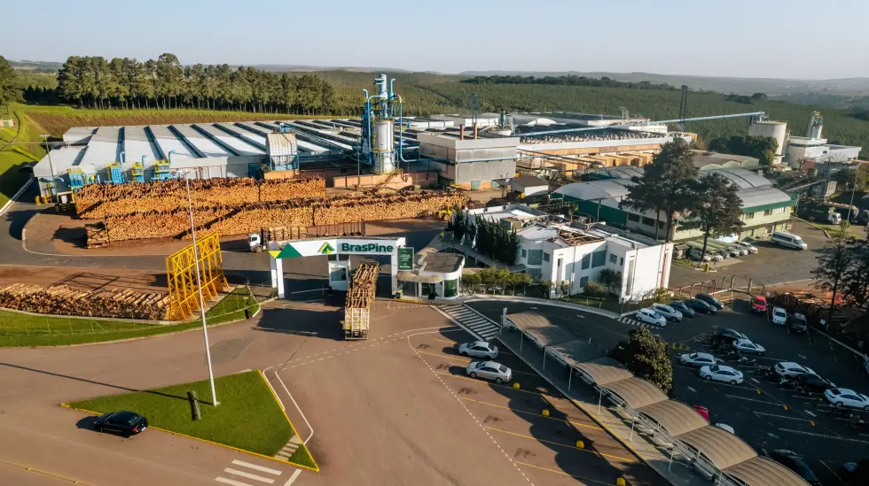 Large sawmill in northern Uruguay to start operations in 2027