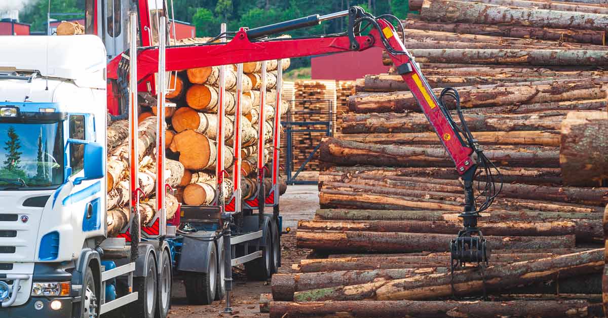 Log prices overview: Northern Europe softens, Central Europe remains tight
