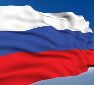 Russian timber companies seek three-year bankruptcy moratorium