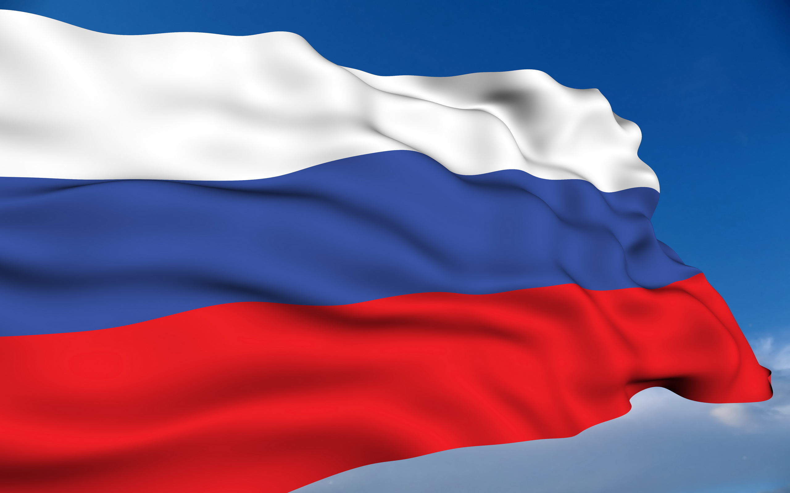 Russian timber companies seek three-year bankruptcy moratorium