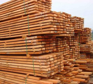 Sarawak halves timber royalties to steady domestic processing and counter export drift