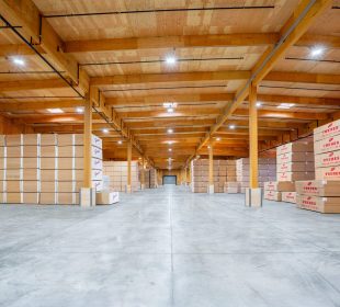 US plywood markets strengthen as prices rise 10–15% in four weeks, says major producer