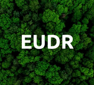 Businesses still warn of major implementation risks of EUDR