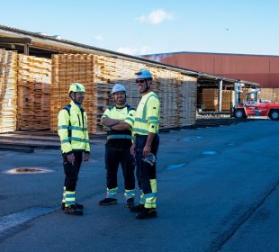 Court ruling allows Södra to restart Kinda sawmill investment project