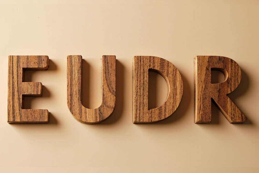 EUDR compliance gaps could trigger import disruptions