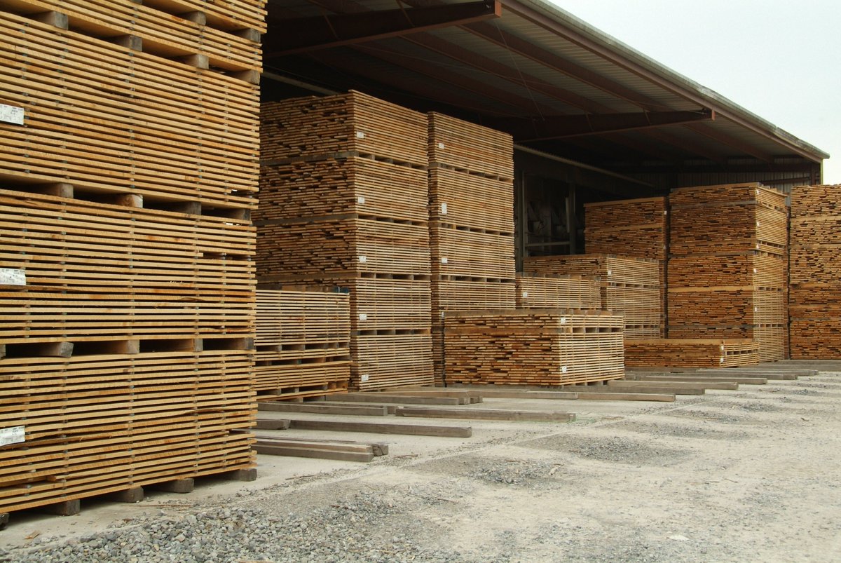 European hardwood prices mixed as buyers stay cautious