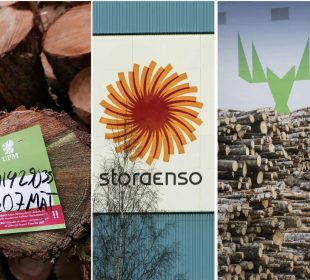 European timber giants warn recovery remains fragile despite improving lumber prices