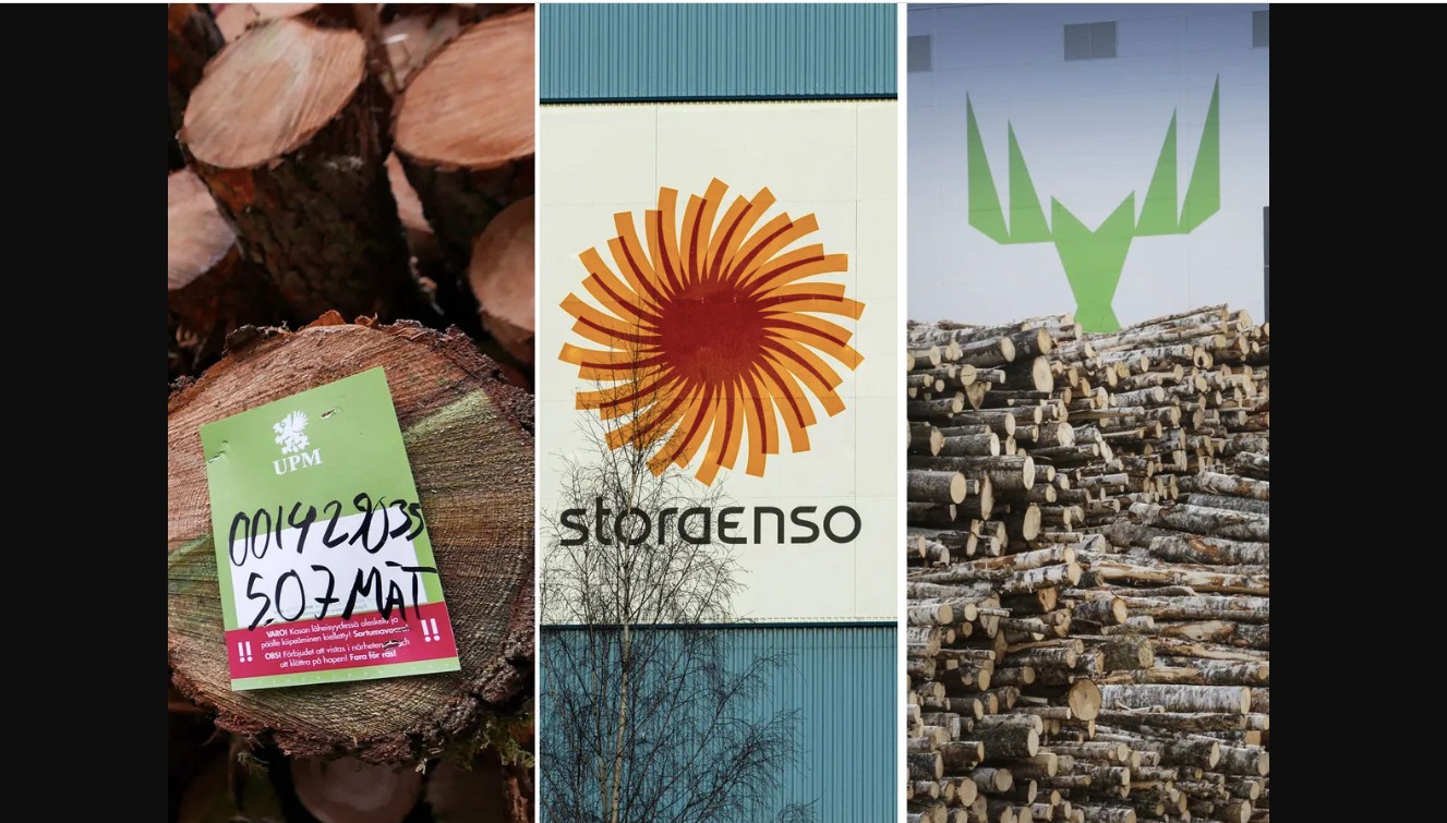 European timber giants warn recovery remains fragile despite improving lumber prices