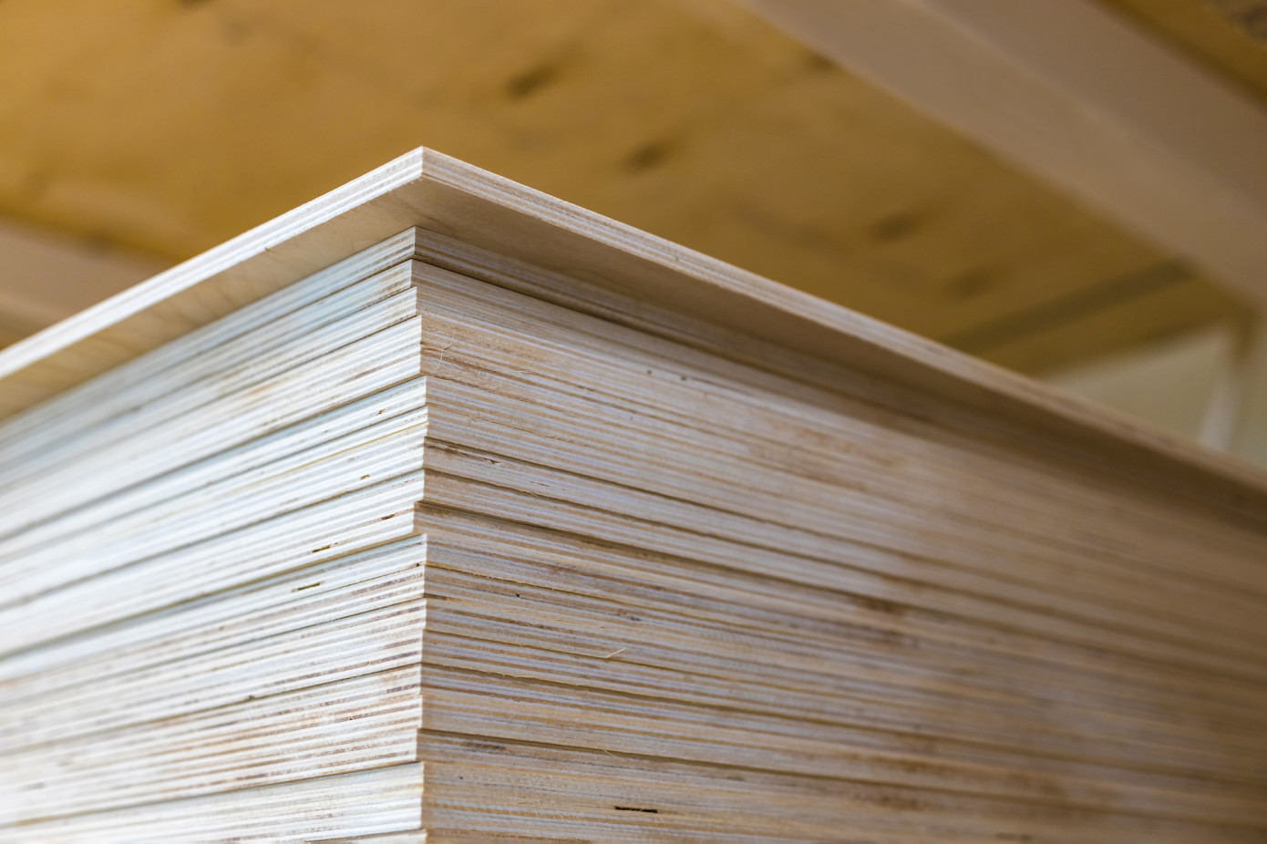 Europe’s shift away from Chinese plywood exposed new sourcing risks