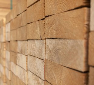 Finland timber trade seen recovering as sawmills return to market