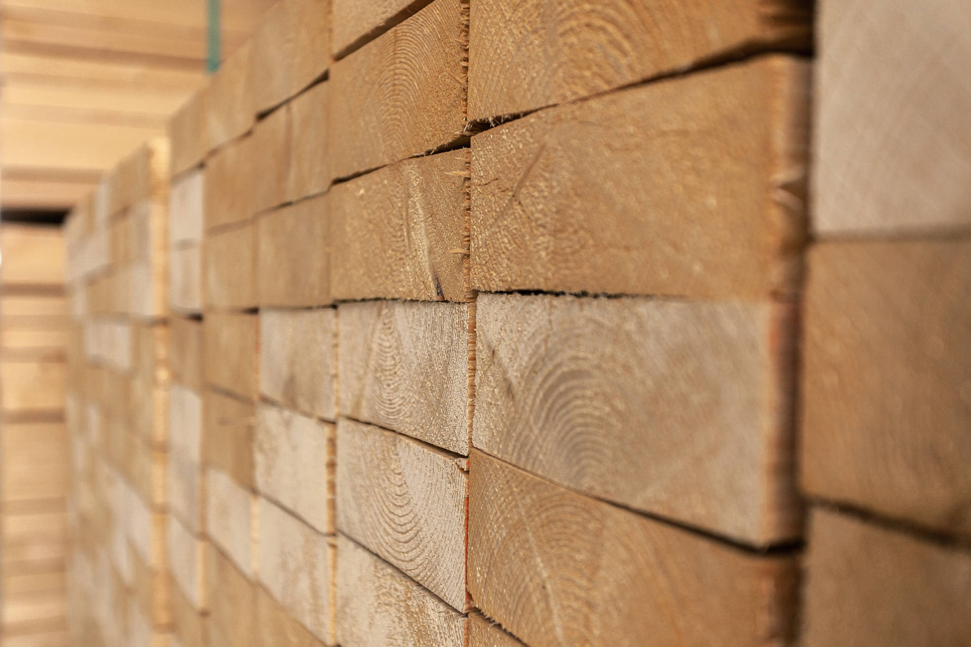 Finland timber trade seen recovering as sawmills return to market