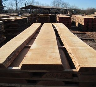 France’s third-largest beech sawmill closes