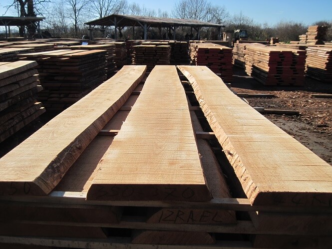 France’s third-largest beech sawmill closes