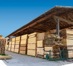 German timber trade sales unexpectedly rose by 10 percent in March