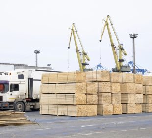 Higher freight costs push MENA lumber prices lower