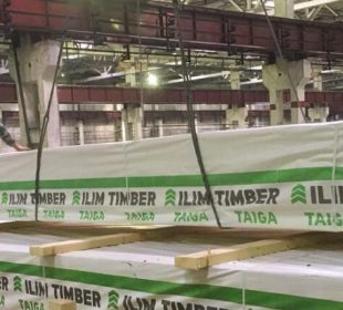 Russia’s Ilim Timber to suspend plywood production at Bratsk mill after losing European market