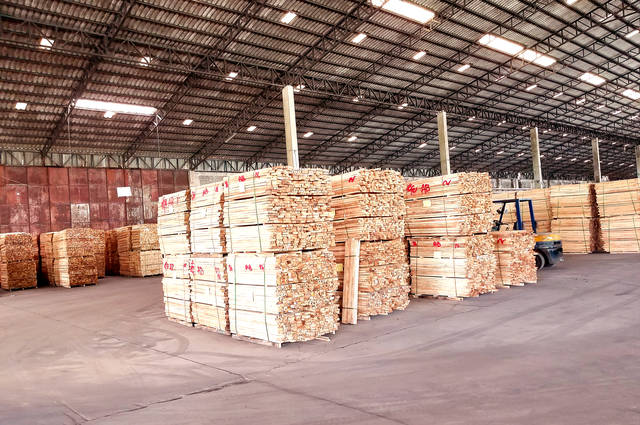 UK forestry sector launches petition to reduce timber import dependence
