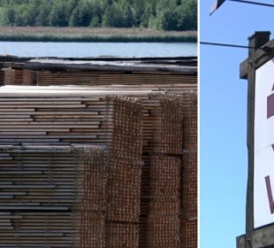 Vida closes two sawmills as southern Sweden faces growing sawlog shortages