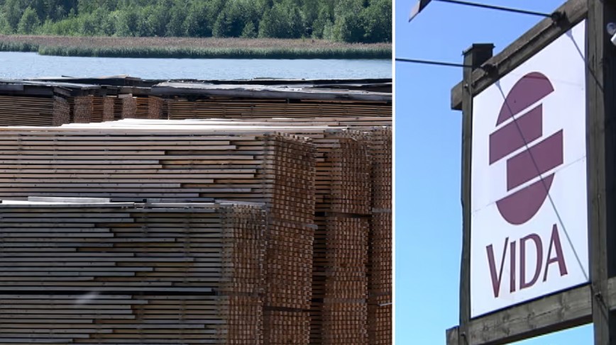 Vida closes two sawmills as southern Sweden faces growing sawlog shortages