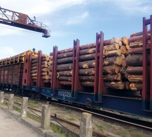 Weak EU demand pushes Ukraine’s timber market deeper into oversupply