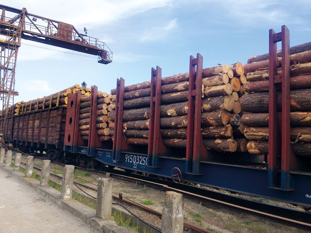 Weak EU demand pushes Ukraine’s timber market deeper into oversupply