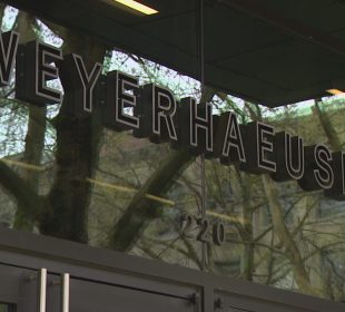 Weyerhaeuser reports wood products segegment recovery