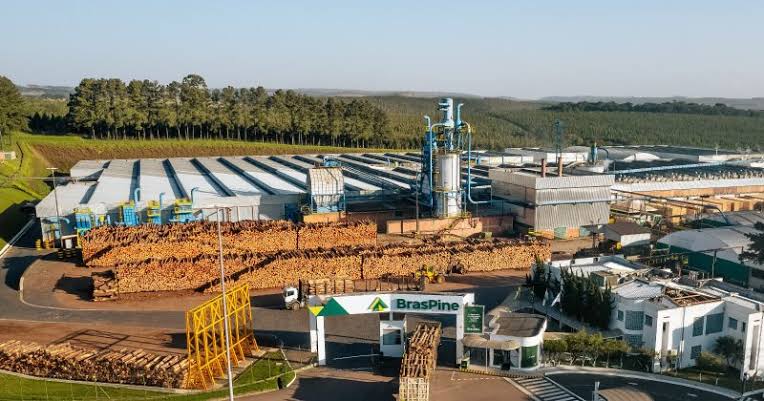 A Brazilian timber giant is betting $250 million on Uruguay — and it is buying the forest too
