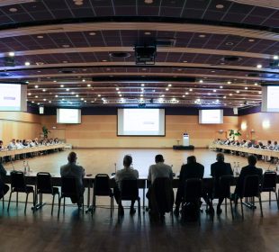 European wood-based panels production output rose 3% in 2025