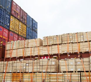 Finland’s softwood lumber exports decline as North Africa and Asia weaken