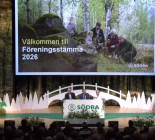 Södra warns 2026 crisis may be more serious than the 2012 downturn