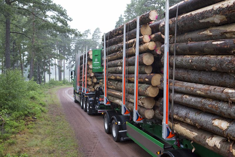 Sweden: Storm-damaged timber floods market, Södra cuts prices
