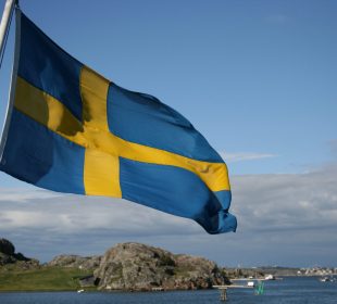Swedish timber trader files for bankruptcy after suspected fraud and timber theft