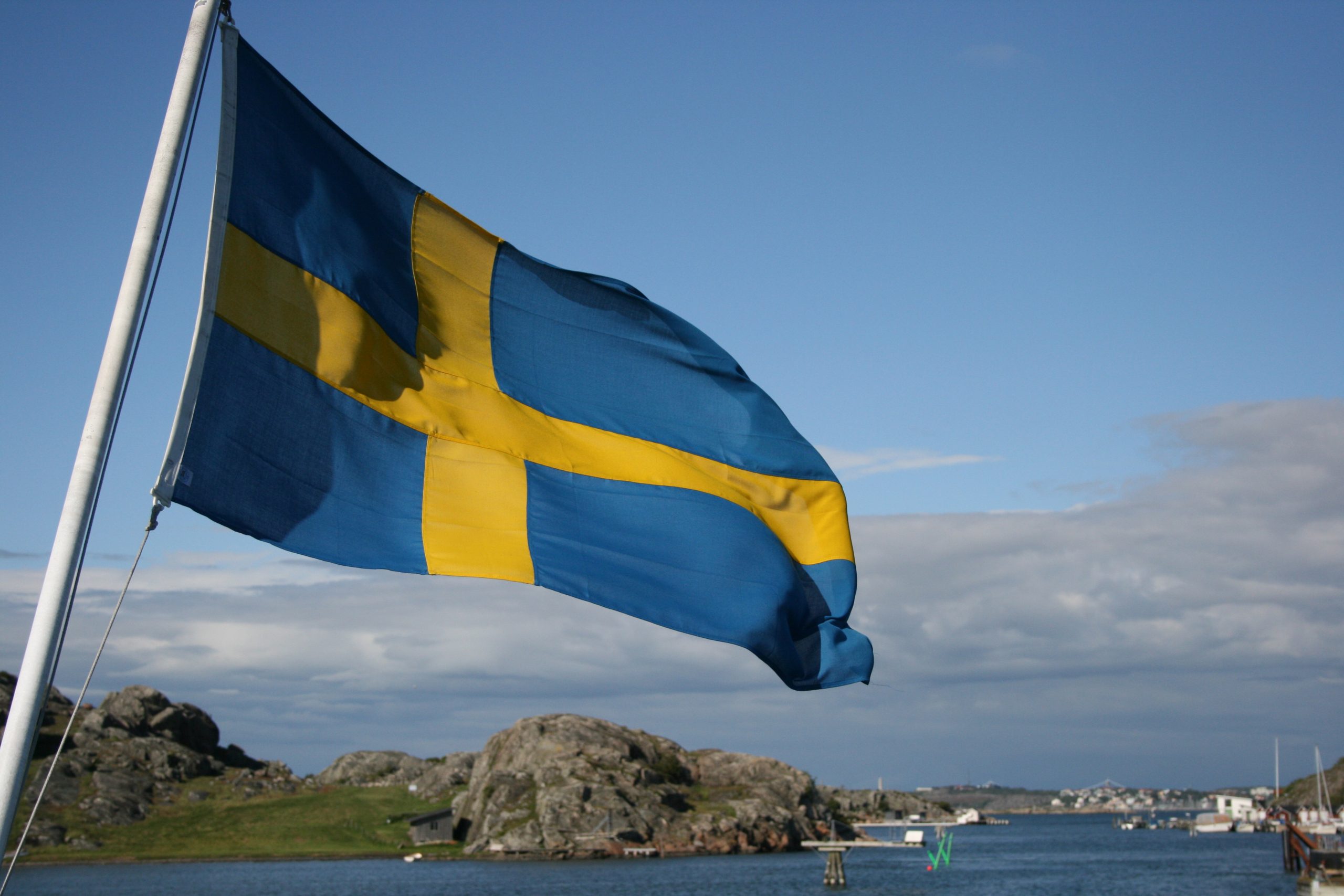 Swedish timber trader files for bankruptcy after suspected fraud and timber theft