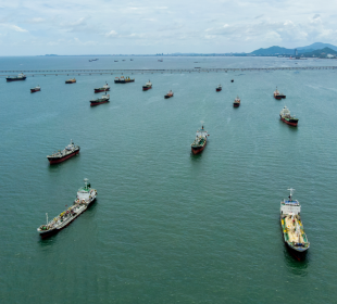 US lumber prices rise as Hormuz reopening boosts market sentiment, while supply constraints continue to tighten market