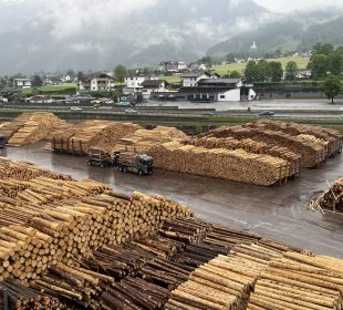 Austrian sawmills maintain steady log procurement