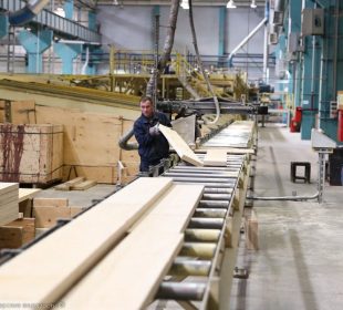 Construction slowdown drives German sawmills to 10-year low