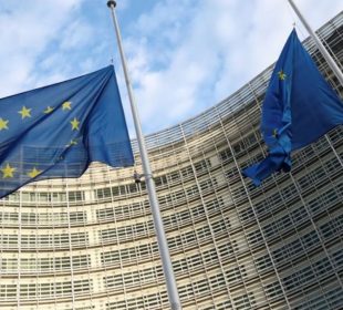 EU investigates whether Chinese plywood makers are evading duties through minor product modifications