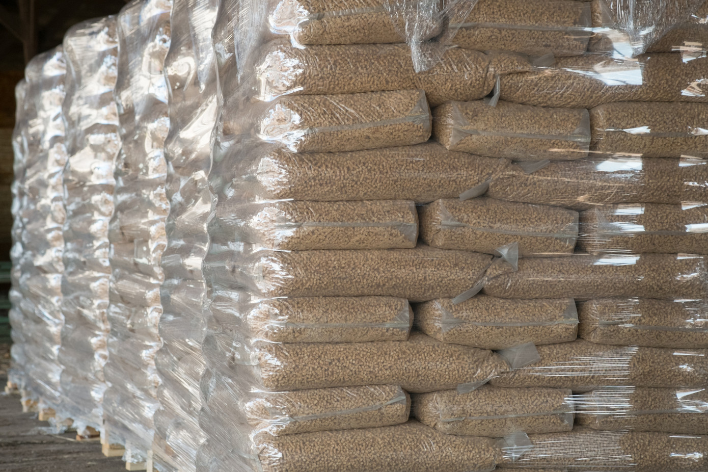 EU wood pellet production set to rebound in 2026 as Germany leads renewed growth