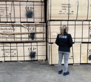 Four more companies removed from FSC certification over birch plywood irregularities