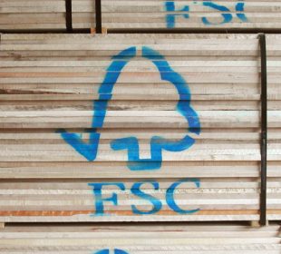 FSC finds no evidence of post-sanction Russian birch entering certified supply chains, but flags wider integrity risks