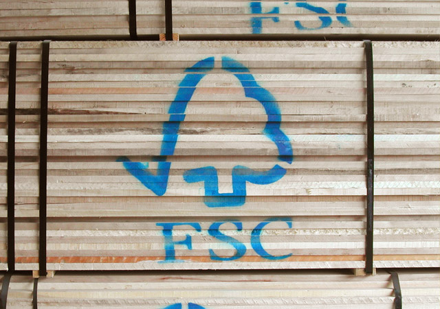 FSC finds no evidence of post-sanction Russian birch entering certified supply chains, but flags wider integrity risks