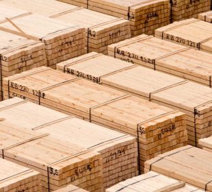 German sawmill industry braces for production cuts, extended maintenance shutdowns